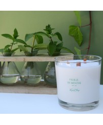 BOUGIE PARFUMEE FEUILLE DE MENTHE Les Lumières du Temps Bougies parfumées
