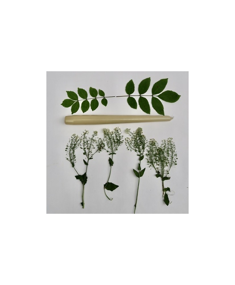 BOUGIE FLAMBEAU BEIGE PIERRE 25 CM (FORMAT L) Une Parenthèse Bougie Bougies décoratives BOUGIE FLAMBEAU BEIGE PIERRE 25 CM (FORMAT L) Une Parenthèse Bougie Bougies décoratives