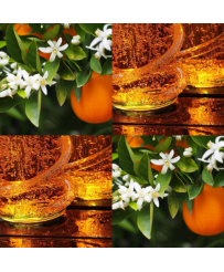 Bougie parfumée Ambre et fleur d'oranger