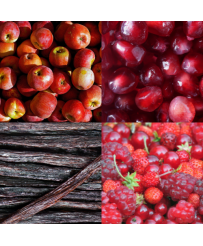 Diffuseur de parfum pomme, fruits rouges, grenade, vanille