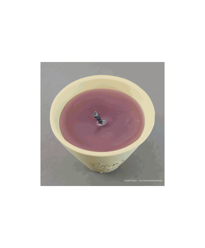 bougie-exterieure-citronelle-bio-couleur-mauve-violet