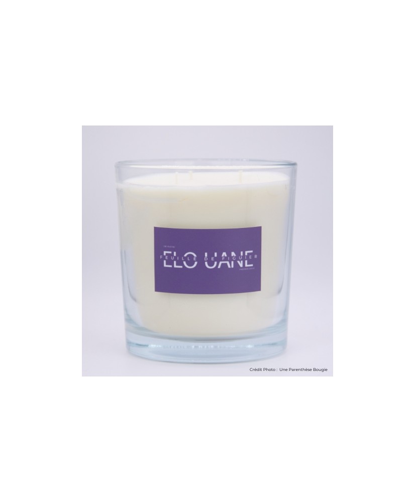 Bougie parfum Figue