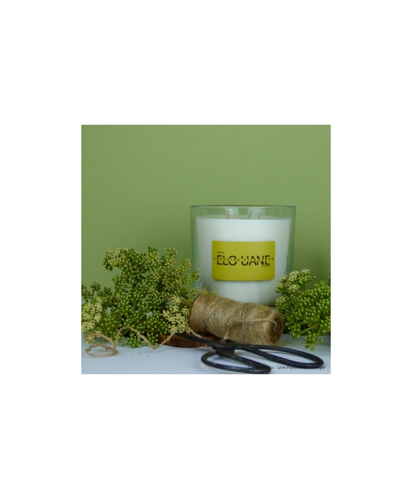 Bougie française parfum de Grasse Verveine
