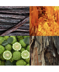 Parfum Ambre: Vanille, Ambre, Bergamote, Cèdre