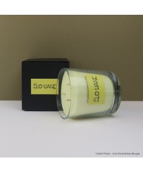 CHEVREFEUILLE - BOUGIE ELOUANE