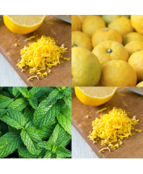 YUZU DU JAPON - BOUGIE PARFUMEE ELOUANE (350g)