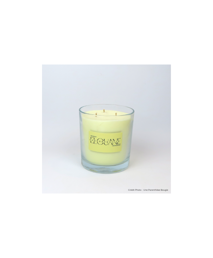 CHEVREFEUILLE - BOUGIE PARFUMEE ELOUANE (600g)