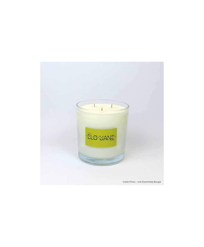 VERVEINE - BOUGIE PARFUMEE ELOUANE (600g)