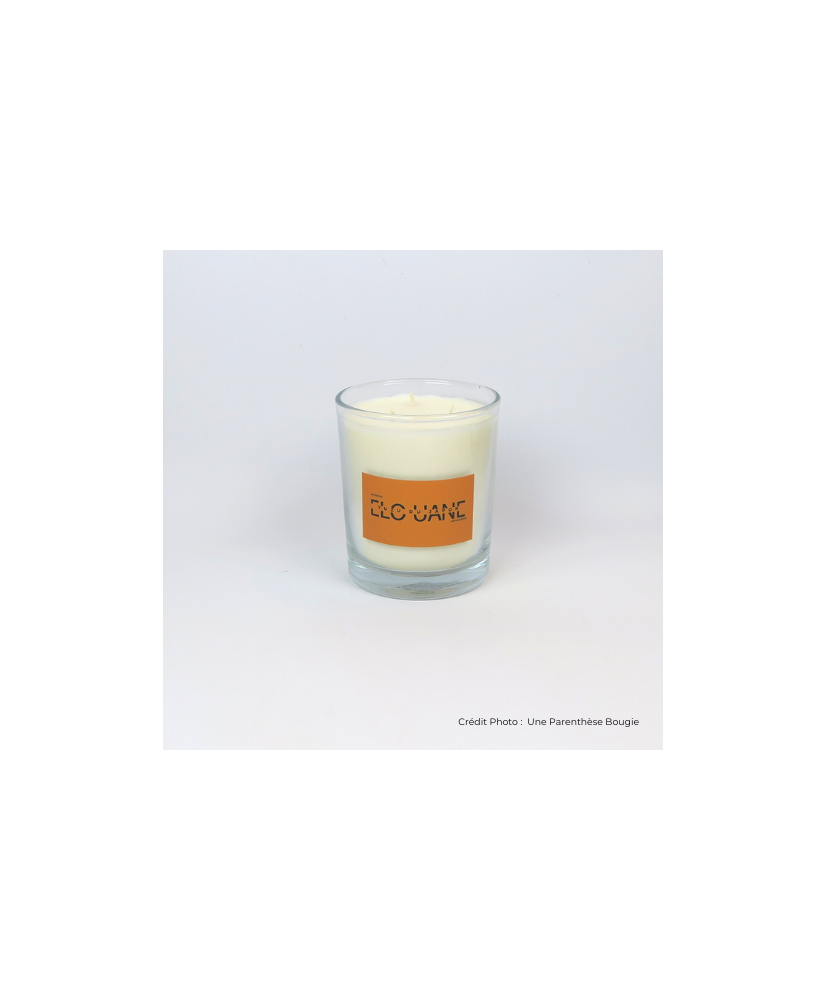 YUZU DU JAPON - BOUGIE PARFUMEE ELOUANE (350g)