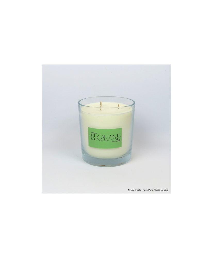 THE ET MATE VERT - BOUGIE PARFUMEE ELOUANE (600g)