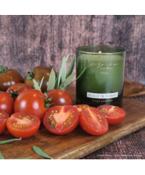 Bougie parfumée Feuille de tomate par Christian Tortu