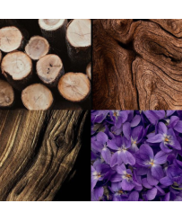 ARBRE DE VIE - BOUGIE PARFUMEE ELOUANE (290 g)