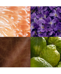 CUIR DE VIOLETTE BOUGIE PARFUMEE ELOUANE (290 g)