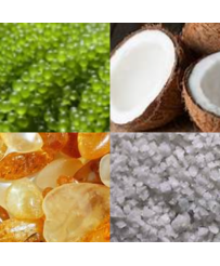 PREMIER BAIN BOUGIE PARFUMEE ELOUANE (290 g)