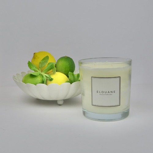 instagram-14 La bougie Citron-Basilic est une de vos favorites des beaux jours! Profitez des 20% de réduction jusqu'à ce soir pour faire le plein de vos bougies préférées! 🍋

 #parfumdinterieur #deconature #cirevegetale #ideedeco #bougievegetale #homefragrance #bougienaturelle #bougieartisanale #uneparenthesebougie #bonheursimple #parfumdemaison #bougieparfumée #fabricationfrancaise #bougieparfumee #parfumdegrasse #madeinfrance #elouane #citron #basilic #plantesaromatiques #fraicheur #paimpol #citronvert #codepromo #limonade #citronade #bienchezsoi #merci #soleil #ilfaitbeau