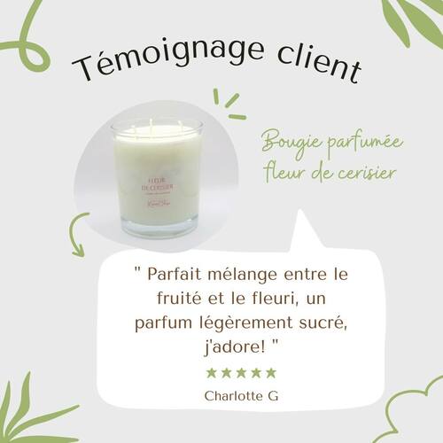 instagram-9 Une de vos bougies fleuries préférées. Tout droit venue d'un arbre fruité, la fleur de cerisier a cette particularité d'être délicatement sucrée par les cerises du même arbre. Un bonheur olfactif! 🌸🍒

 #madeinfrance #deconature #elouane #bougieartisanale #bougievegetale #fabricationfrancaise #uneparenthesebougie #bonheursimple #cirevegetale #bougienaturelle #homefragrance #decorationinterieur #parfumdegrasse #parfumdemaison #fleursfraiches #paimpol #fleurdecerisier #cherryblossom #cerisierenfleurs #printemps #springvibes #avisclient #bougiefleurie #bougiegourmande #cerise #parfumsucré #fruité #bienchezsoi #flowerlover