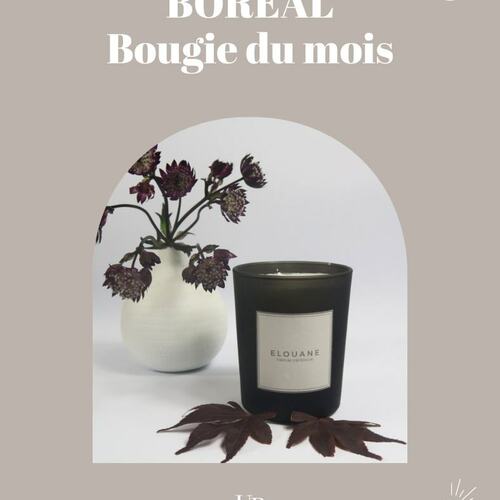 instagram-1 ✨ BOUGIE DU MOIS ✨

Vous connaissez la bougie Boréal? Vous l'aimez ou vous l'adorez? 🌲

 #uneparenthesebougie #bougiedumois #bougieparfumée #bougievégétale #boréal #bougienaturelle #madeinfrance #bougiedautomne