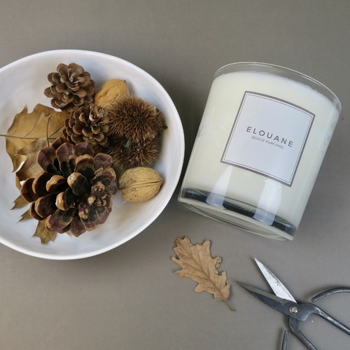 instagram-3 Je commence mon samedi avec la bougie Cachemire. La chaleur du cèdre révèle les notes florales de la violette, parfait pour faire une douce transition vers le printemps. 🪵🌸

 #cocooningmoment #bougieparfumee #bougienaturelle #bougievegetale #madeinfrance #uneparenthesebougie #bougieparfumée #cirevegetale #bonheursimple #fabricationfrancaise #bougieartisanale #cosy #springiscoming #pommedepin #baladeenfamille #samedimatin #feuillemorte #cèdre #violette #fleurs #bougiefleurie #sensuel #decointerieur #parfumdemaison #amande #cachemire #orient #hyggehome #deconature #inspirationnature